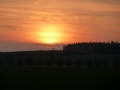 �as pro n�vrat dom�