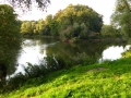 Soutok Dyje a Moravy