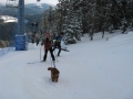 �erpa se sv�m psem, stoupaj�c� po sjezdovce na �al�