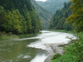 eka Dunajec